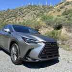 2022 Lexus NX