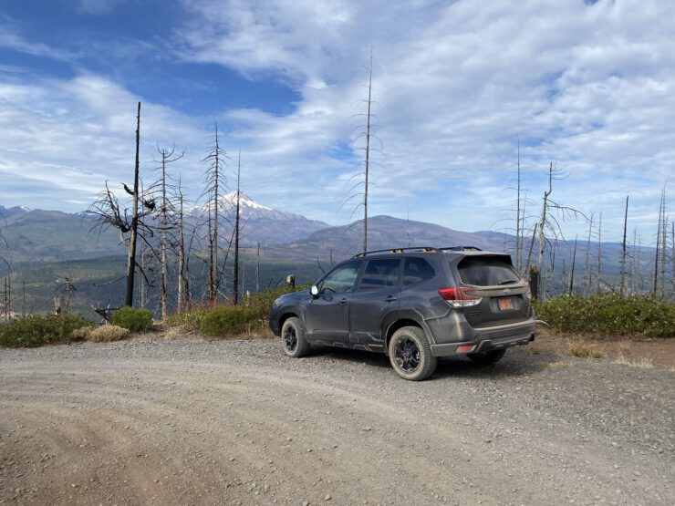 Forester Wilderness