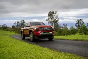 Tacoma Production Back 1