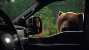ford security package don't get caught off guard. 0 10 screenshot image 1