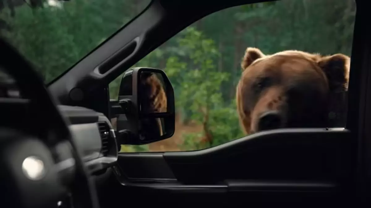 ford security package don