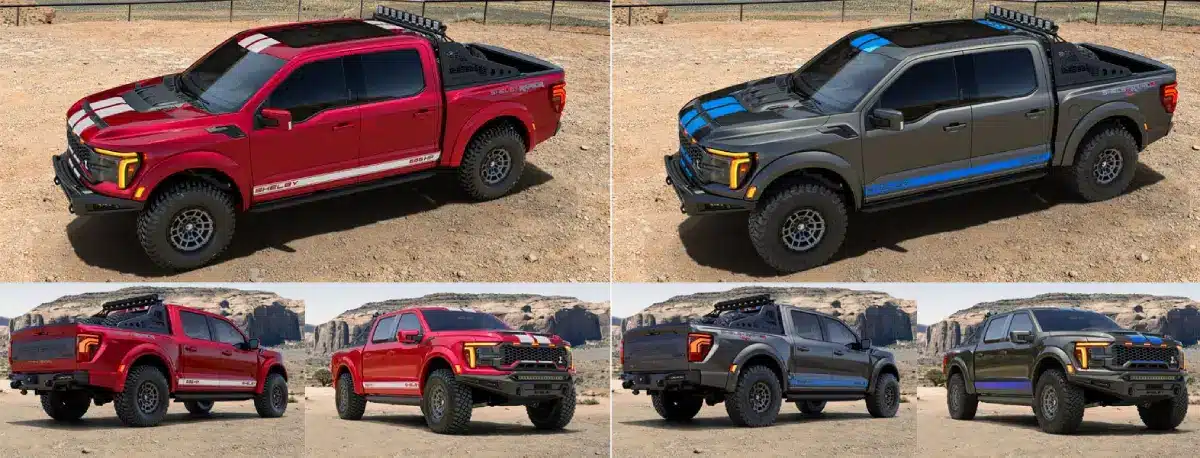 shelby baja f150 raptor side by side image 2