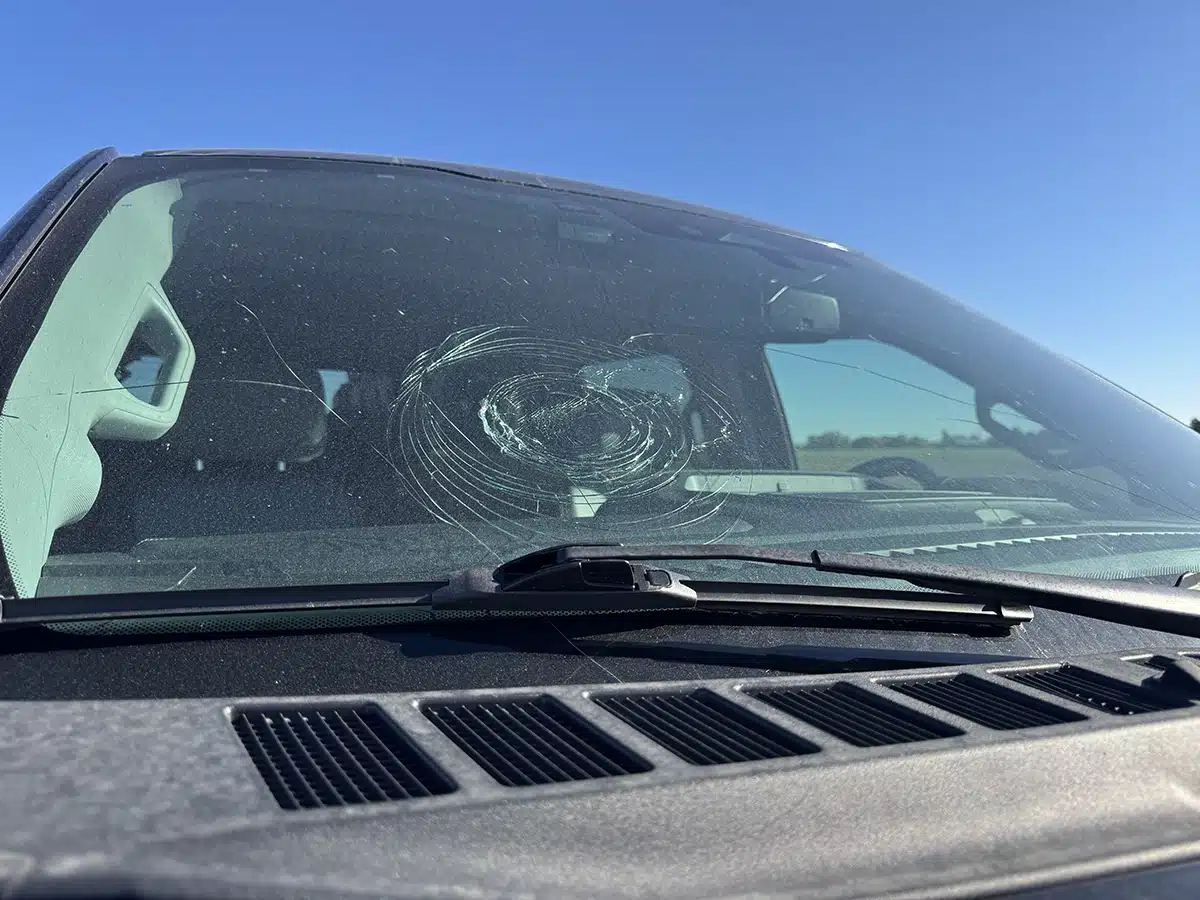 Ford F-150 hail damage 2