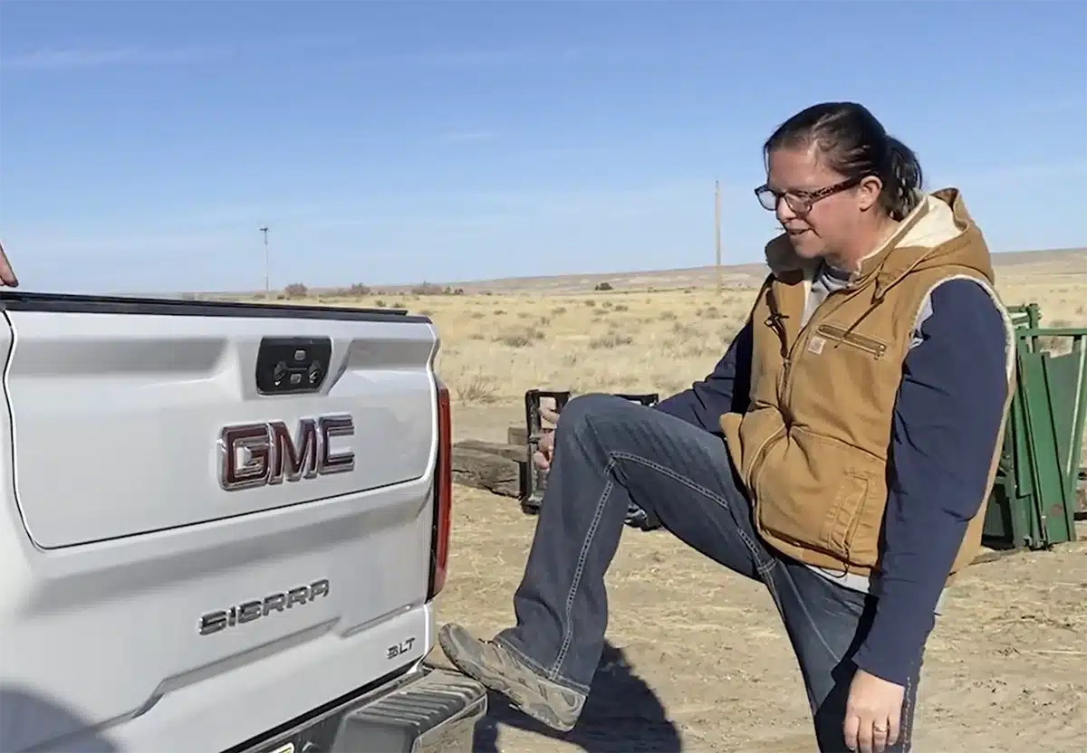 Gas or Diesel HD Truck 3