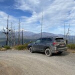 Forester Wilderness