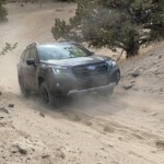 Forester Wilderness