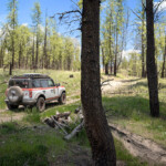 Vehicle shown subject to change based on final execution. Always consult the Owner's Manual before off-road driving, know your terrain and trail difficulty, and use appropriate safety gear.